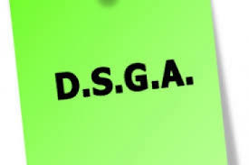 Concorso DSGA